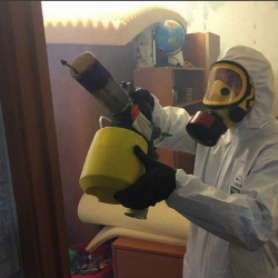 Уничтожение клопов в квартире. Гудермес